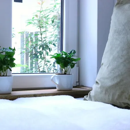 アパート Little Dream ブダペスト